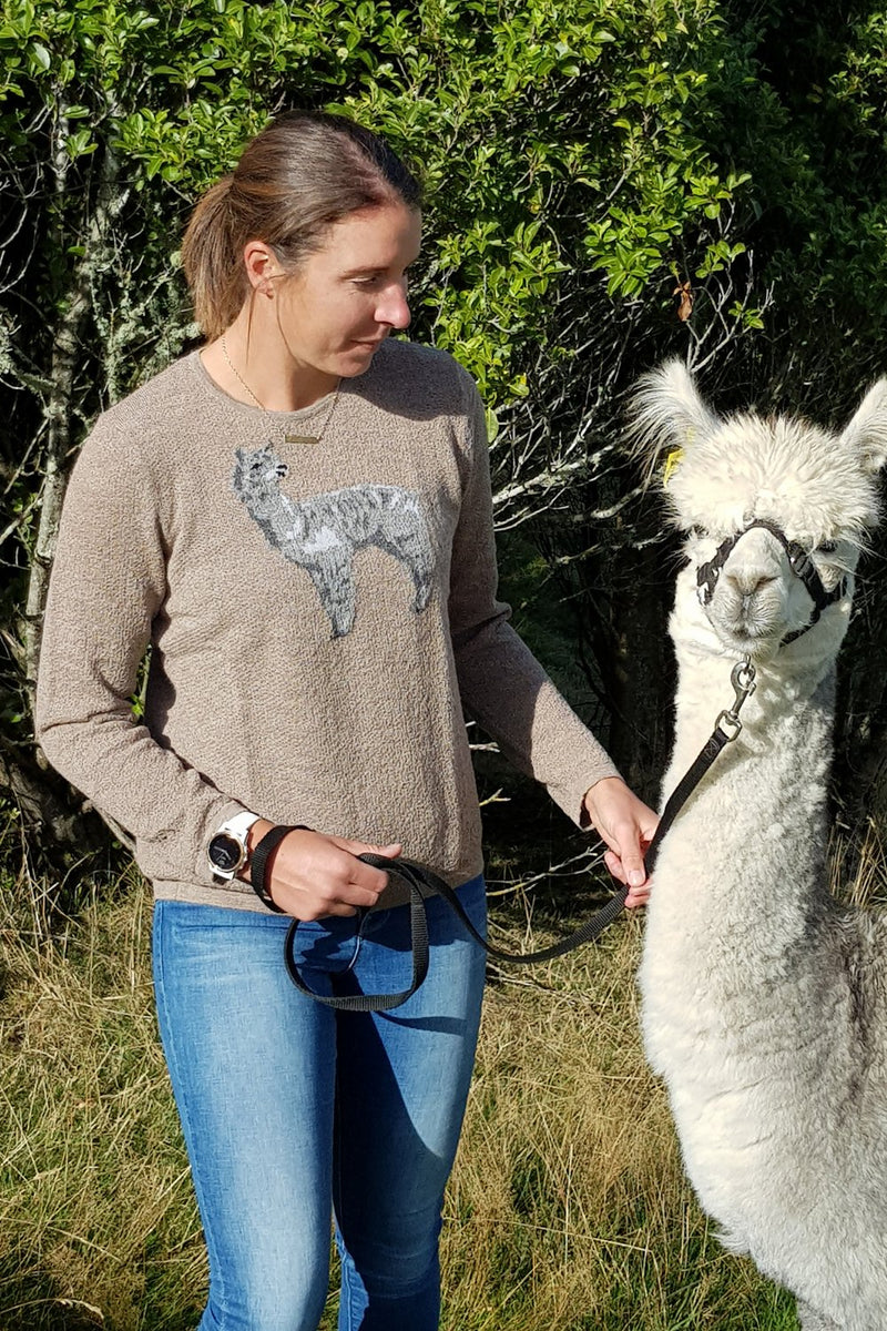 Alpaca Jumpers