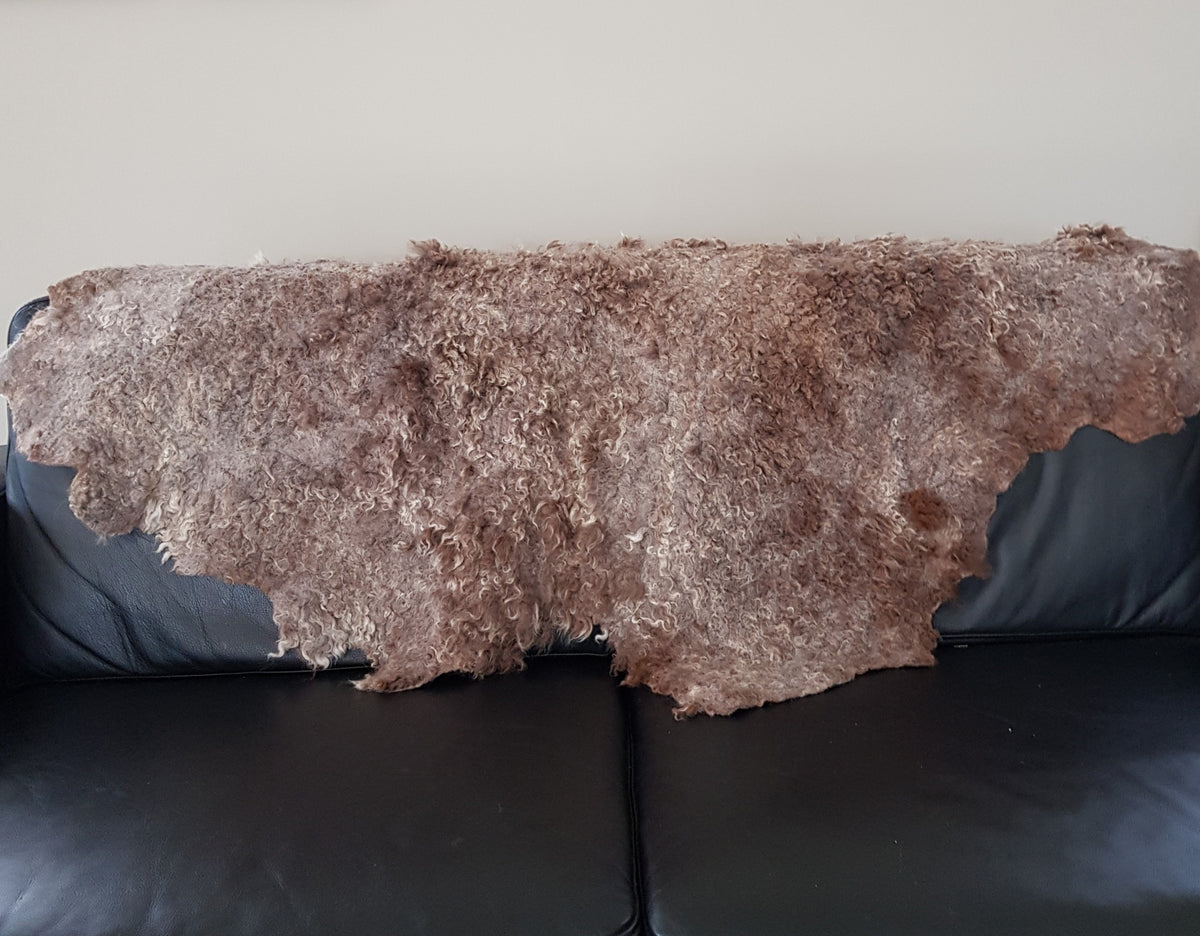Alpaca Rugs – Tagged 