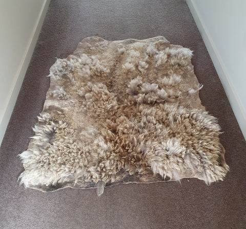 手工製作氈狀羊駝毛地毯-NZ Summerhill梅西銀貂皮