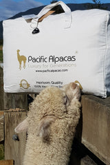 Regular alpaca duvet - made in New Zealand